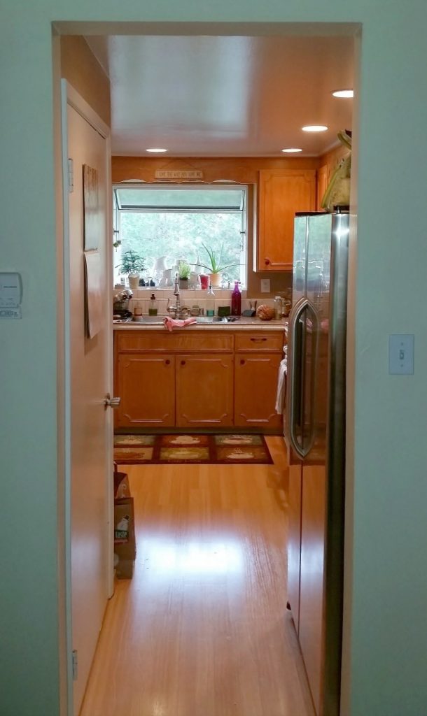 Kitchen view from entryway before renovation