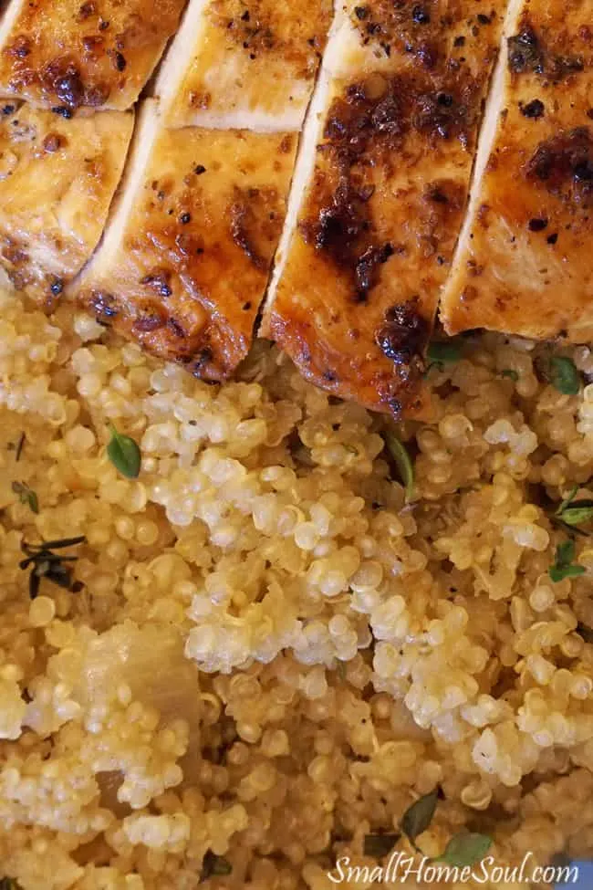 Closeup of savory quinoa and chicken dish with fresh herbs.