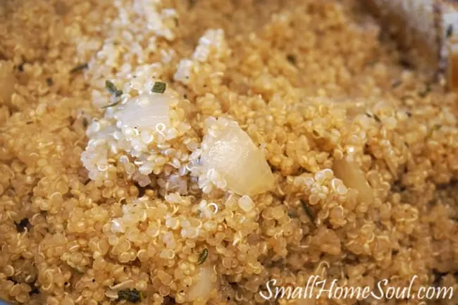 Closeup of savory quinoa side dish with onion and herbs.