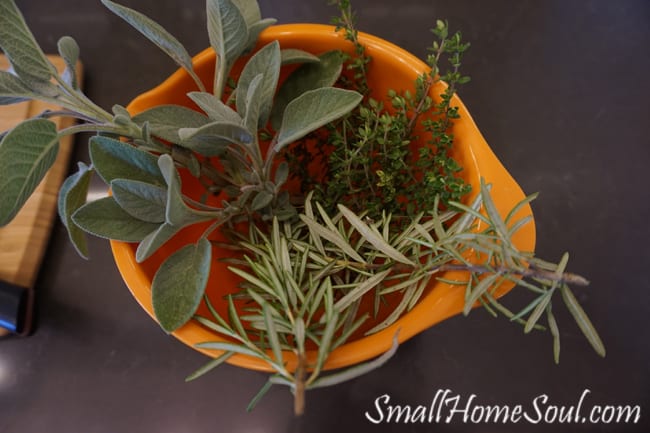 Fresh thyme, rosemary, and sage herbs in orange bowl on counter.