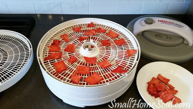 Watermelon candy pieces on dehydrator trays