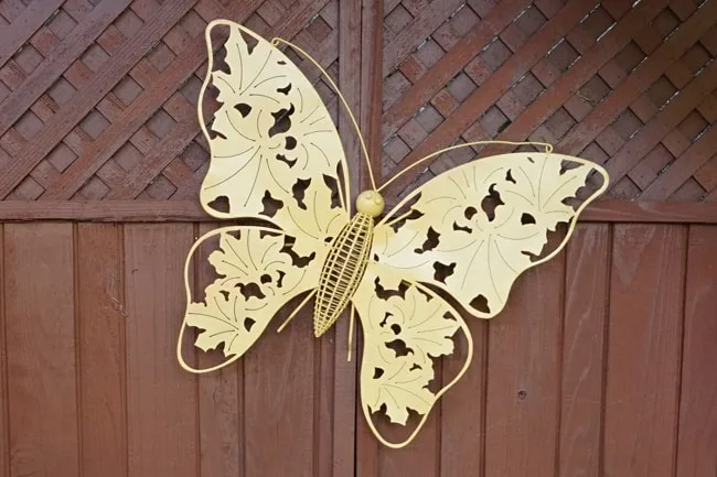 Wayfair Feature Butterfly After