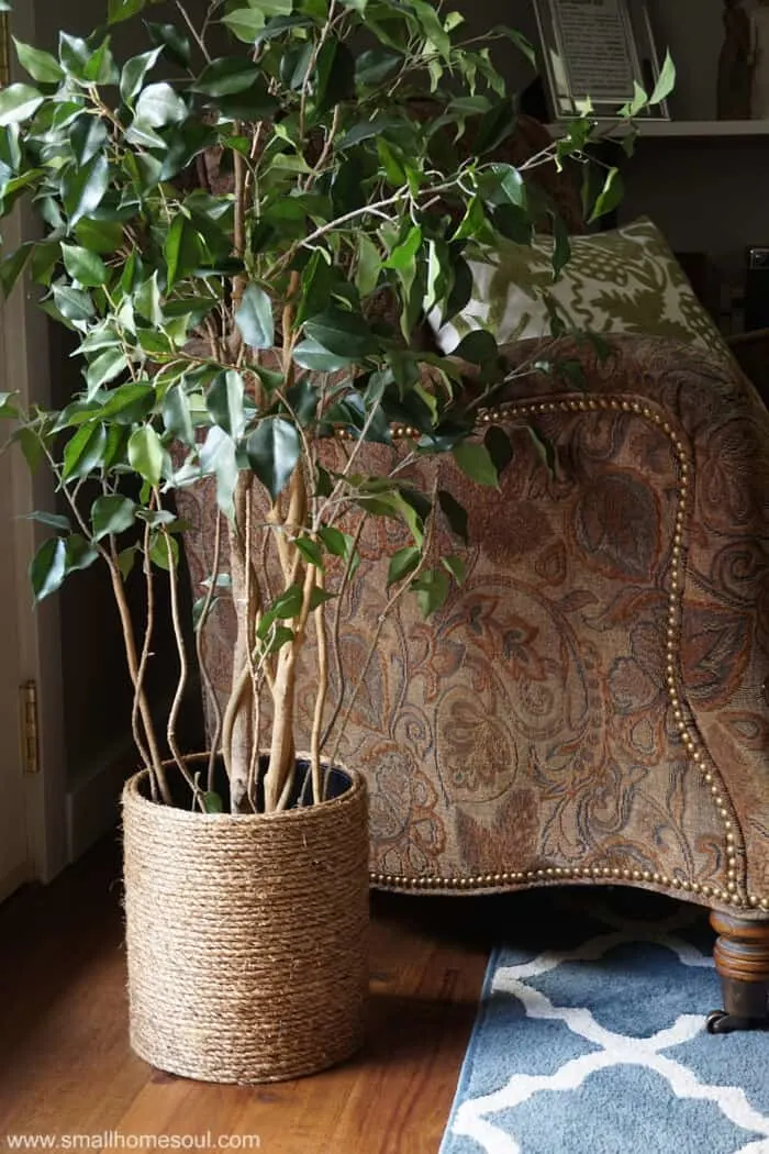 Closeup of Rope Planter Basket by window with houseplant.