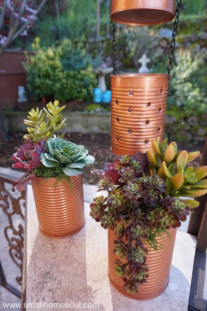 Recycled Tin can planters with succulents planted and above them is recycled tin cans as hanging lights.
