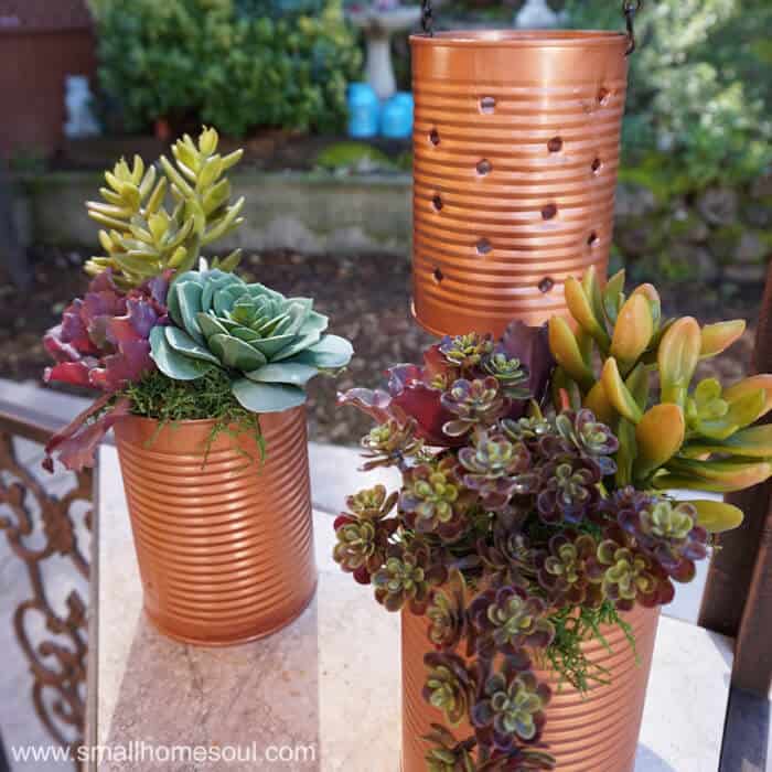 Painted Tin Cans used as planters and hanging lights.
