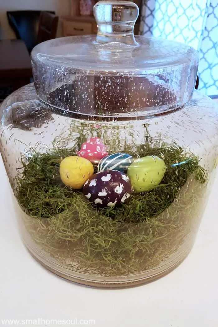 Group of completed painted easter eggs on green moss inside glass terrarium.