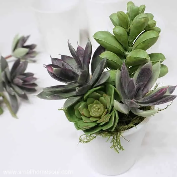 Vintage collectors will enjoy creating this easy milk glass succulent planter.