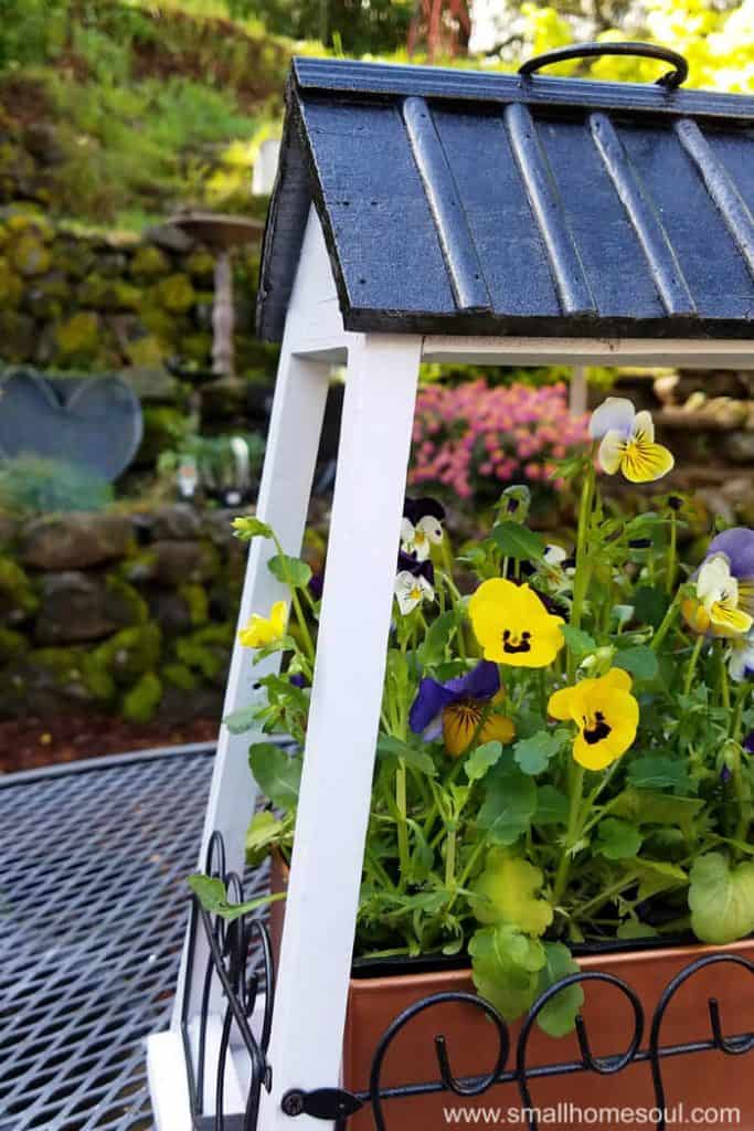 Hanging flower pot planted with violas.