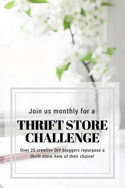 Thrift Store Challenge group image.