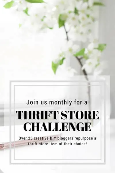 Thrift Store Challenge group image.