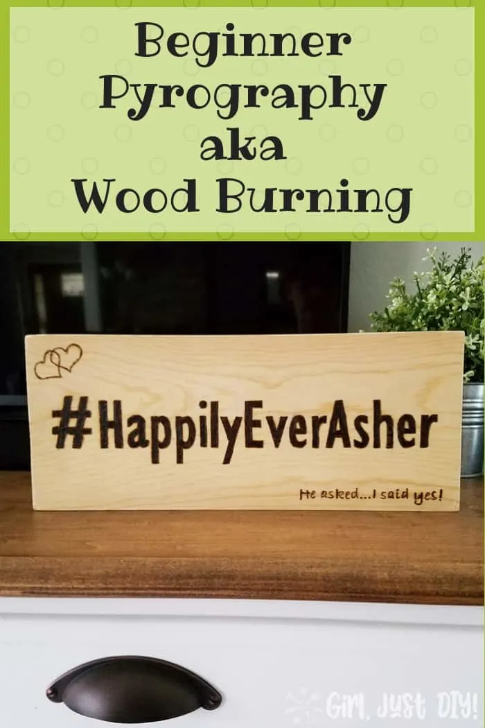 Pin this image image of beginner wood burning sign.