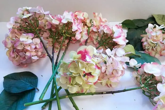 Hydrangea flowers with long stems on table.