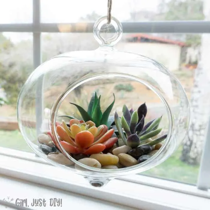 Hanging faux succulent terrarium hanging in a windowsill.