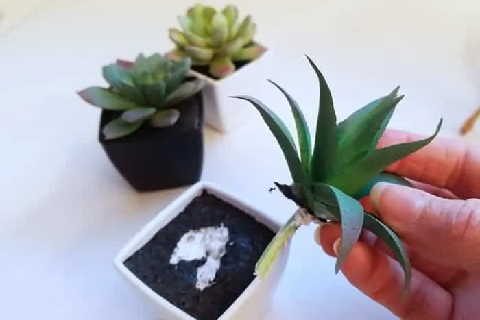Removing faux succulents from plastic pots.