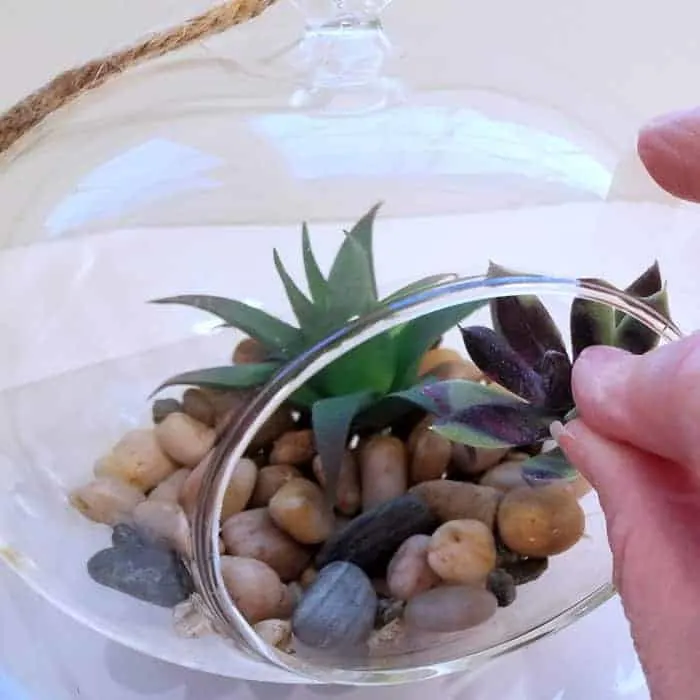 Inserting 2nd faux succulent into terrarium opening.