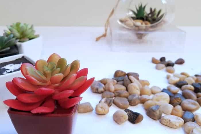 Red faux succulent near rocks with hanging terrarium in background