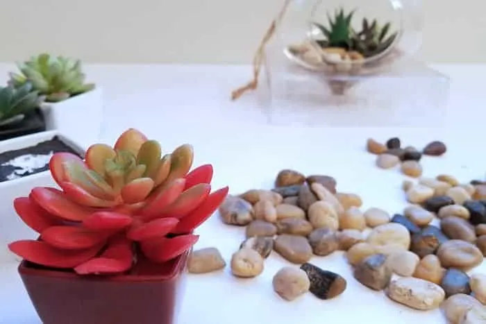 Red faux succulent near rocks with hanging terrarium in background