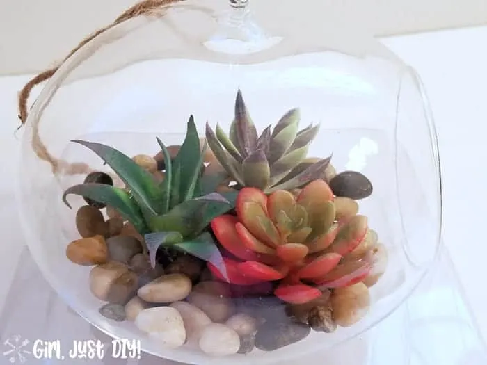 Top view of hanging faux succulent terrarium with three succulents and rocks visible.