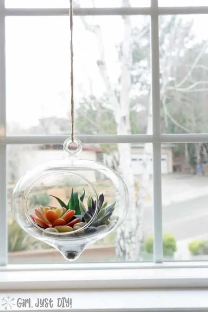 Faux Succulent Terrarium hanging in window sill.