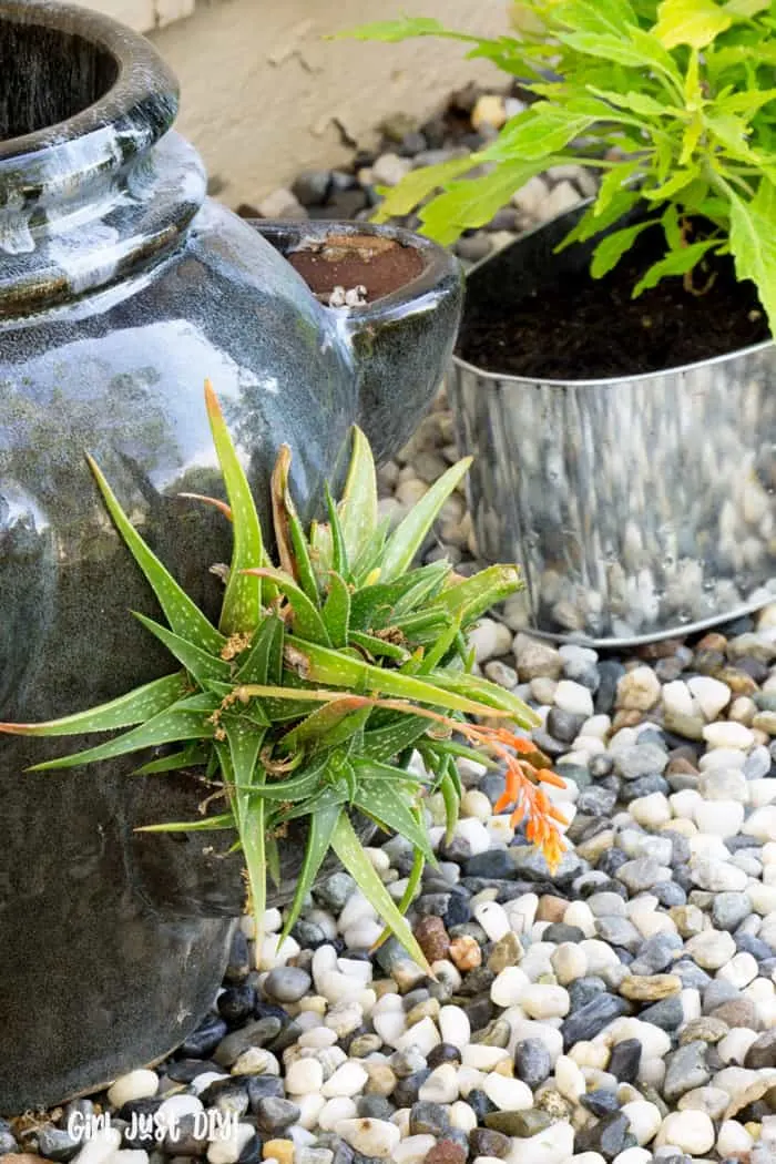 Strawberry pot with succulent on rock flower bed.