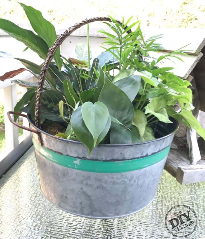 Outdoor diy project galvanized metal tub with green plant.