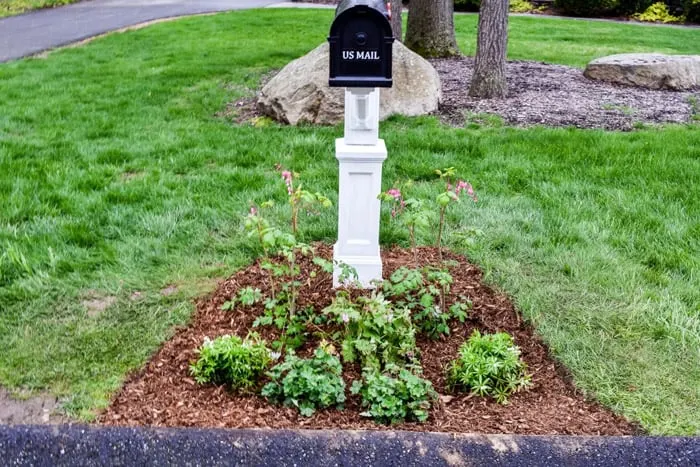 Garden bed with plants under black mailbox on white post.