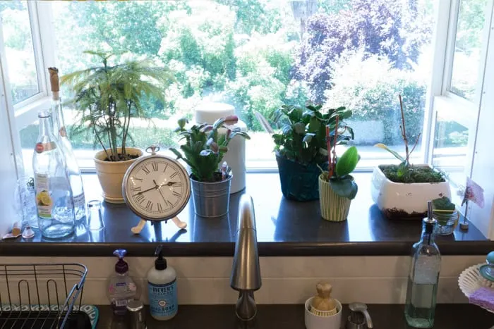 Kitchen window filled with flower pots, bottles and a clock.