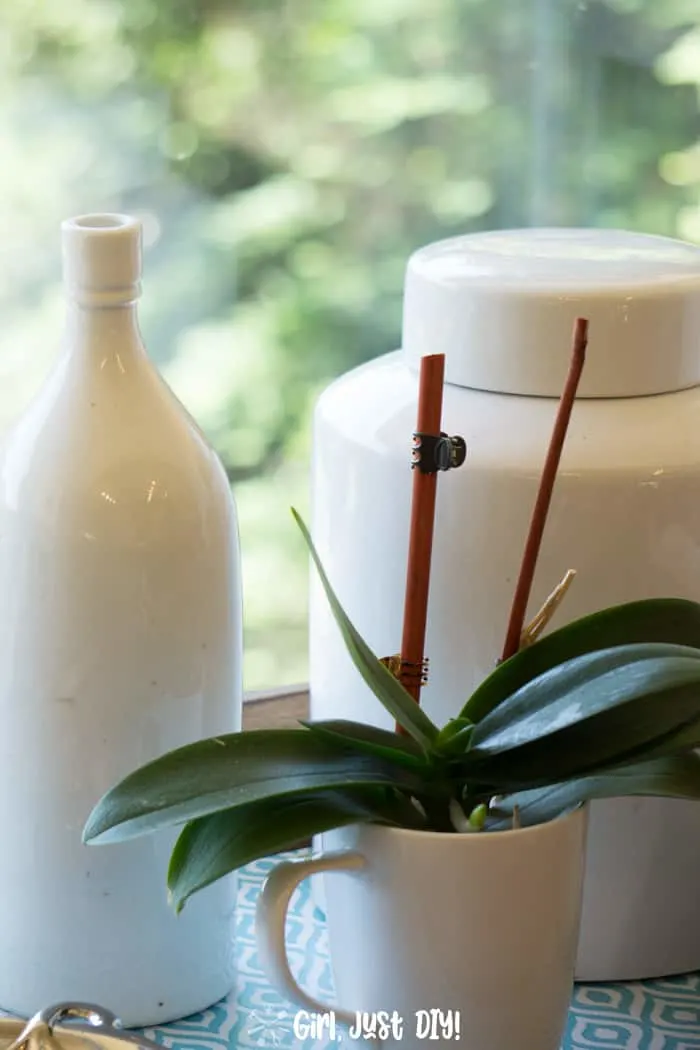 updated wooden tray with contact paper topped with ironstone and an orchid.