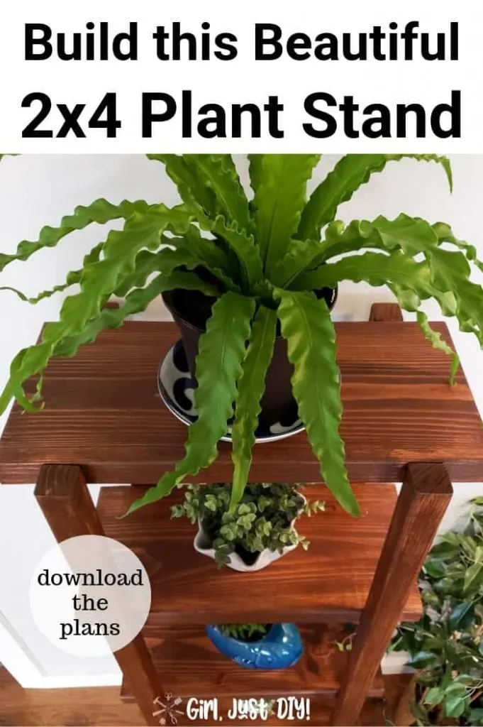 Plants on top of DIY 2x4 Plant Stand in a pinterest image.