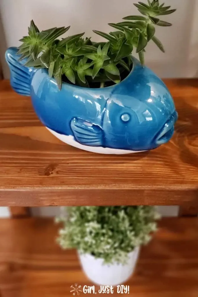 Fish planter on shelf of plant stand looking down to shelf below.
