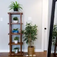 DIY 2x4 Plant Stand in hallway filled with houseplants.