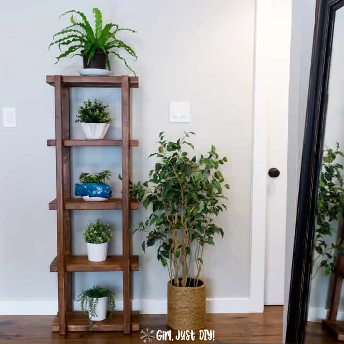 DIY 2x4 Plant Stand in hallway filled with houseplants.