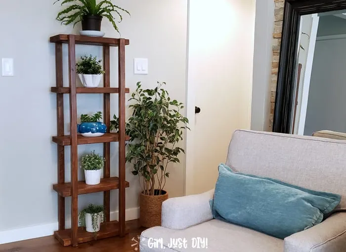 2x4 Plant Stand filled with houseplants against wall in hallway.