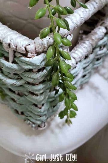 painted wicker basket with green houseplant on toilet tank