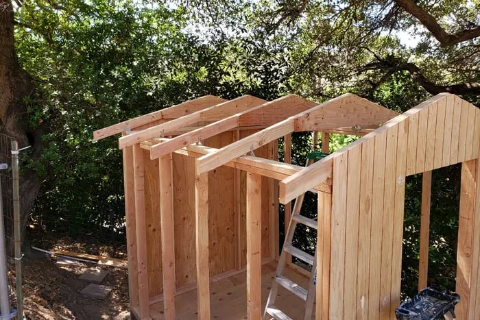 Shed framed and partially sided.