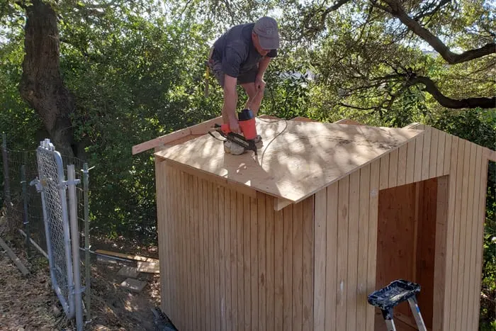 Man on roof nailing roofing to shed with nailer following 8x10 shed plans.
