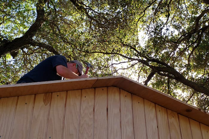 Underside view of roof sheathing overhang.