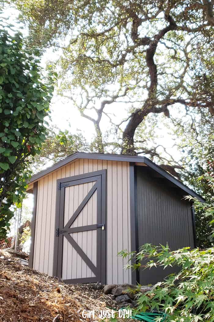 Followed 8x10 shed plans to build our shed, viewed from the patio below.