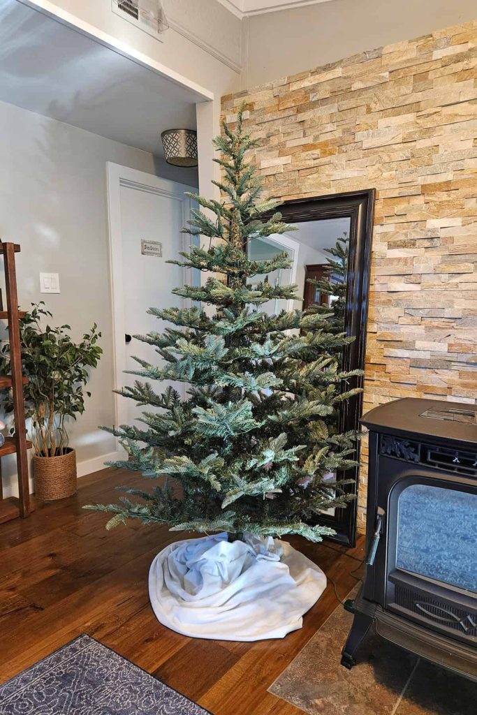 Assembled King Noble Fir in living room with no decorations
