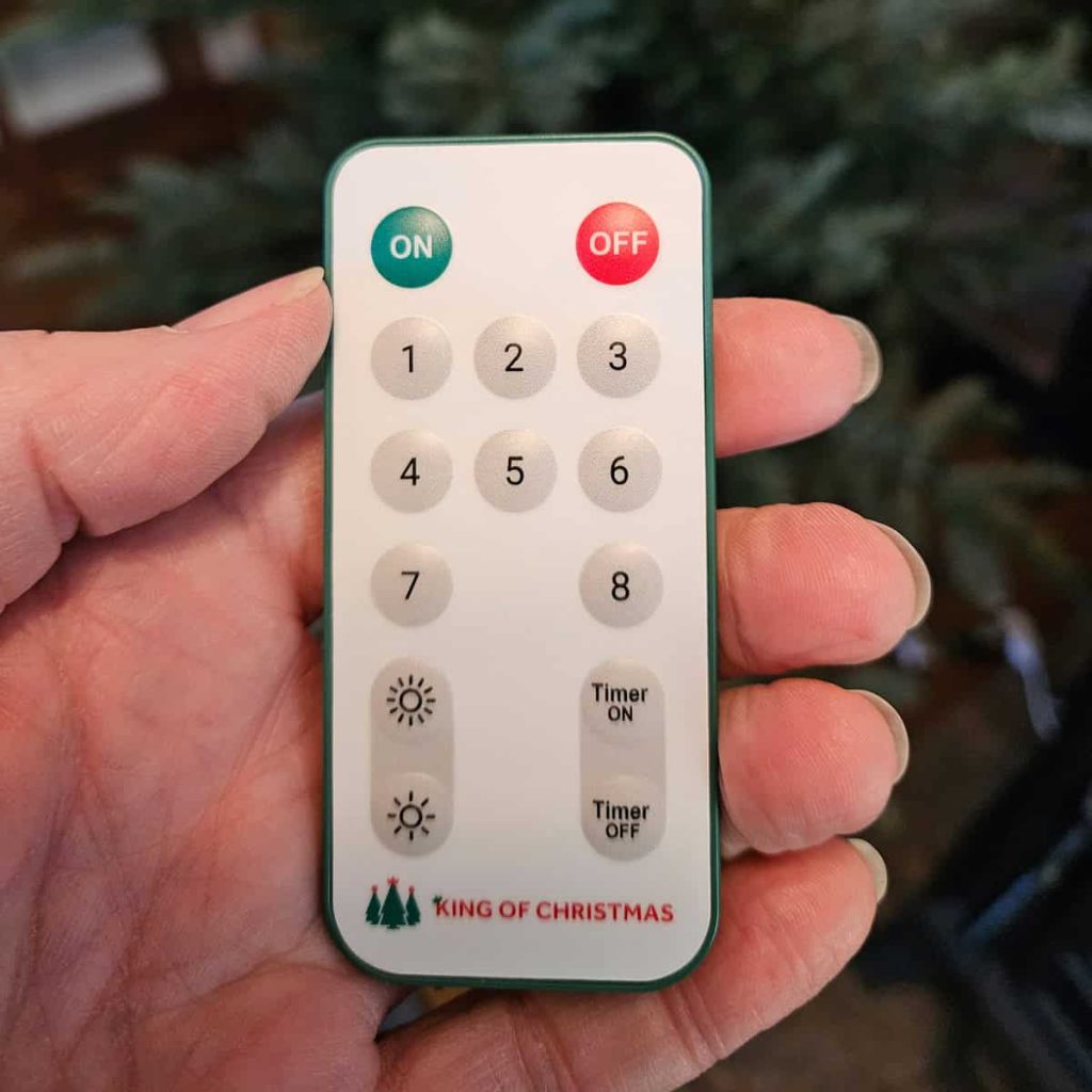 Hand holding a small Chritstmas Tree light remote control.
